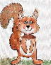 Bild Eichhörnchen